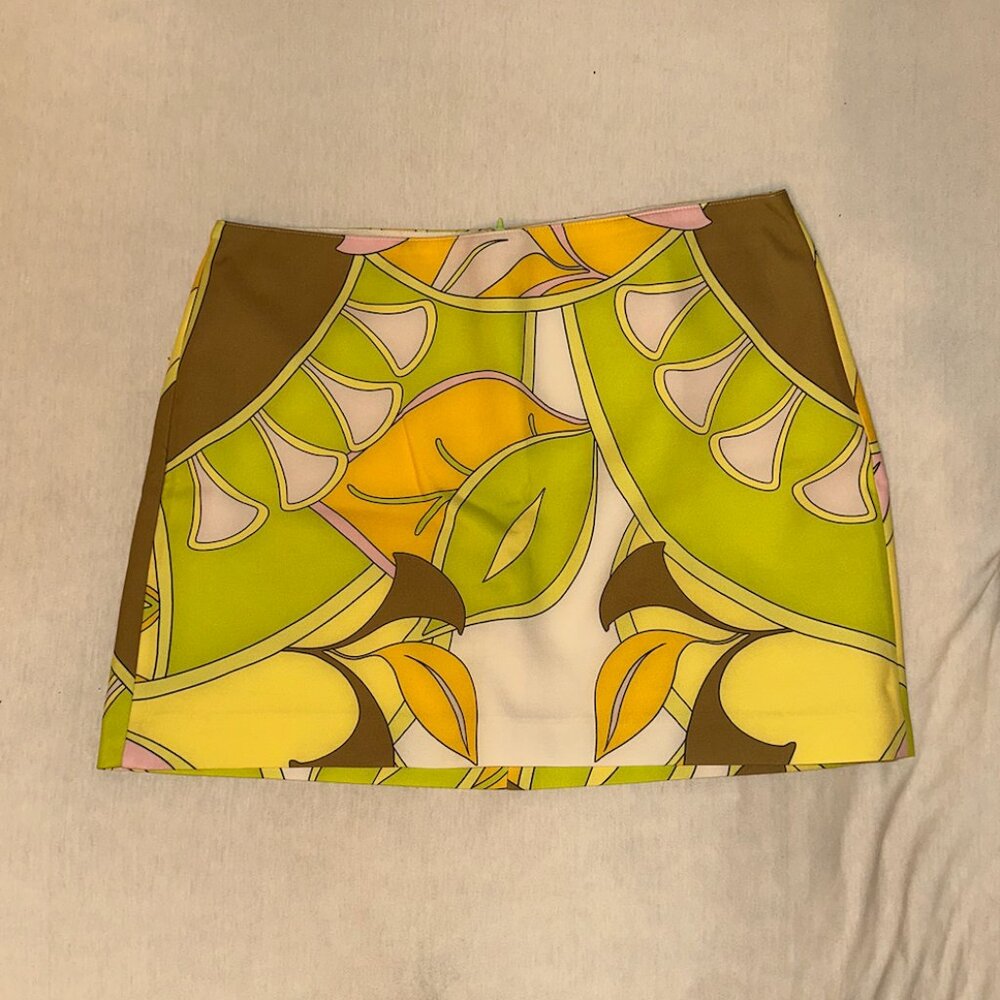 Zara Printed Mini Skirt